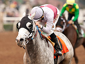 Calculator (USA) ganando el Sham (GIII) con Elvis Trujillo arriba. Foto Cortesía de Benoit Photo y Bloodhorse 