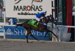 Imperrito (URU) - Foto cortesía de http://caballosdelmundo.com