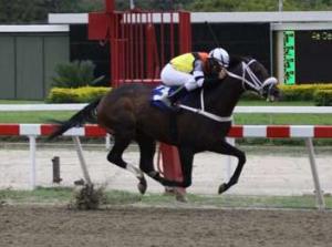 Manchester (VEN) Foto Cortesia de http:\www.pedigreequery.com