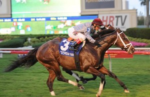 Mshawish (USA) Foto Cortesia de Leslie Martin - Gulfstream Park