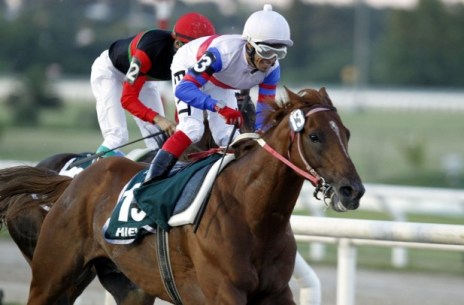 Hielo (BRZ) es doble ganador del Gran Premio José Pedro Ramirez Foto Cortesía de: WFDC News