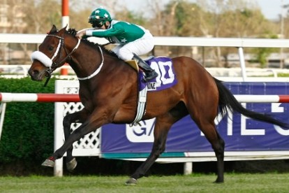 Il Campione (CHI) todo un crack en Chile Foto cortesia de http://loshipodromos.elturf.com/