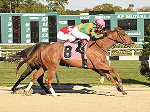 Include Betty (USA) SV Photography de Bloodhorse