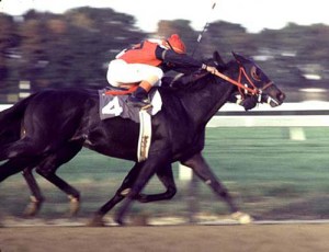 Bold Forbes (USA) Foto Cortesía de: http://americasbestracing.net