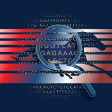 Por: Prof. Nelson Rodriguez