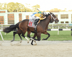 Ocean Knight (USA) con Irad Ortiz Jr Foto cortesia de Tampa Bay Downs