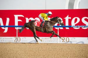 Mubtaahij (IRE) en un hijo de Dubawi (IRE) Foto Cortesía de Andrew Watkins / Dubai Racing Club