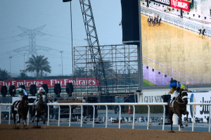 Mubtaahij (IRE) ganó cómodamente el UAE Derby. Foto Cortesía: Americas Best Racing