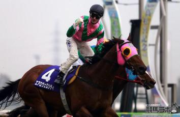 Aerovelocity (NZ) dominó en el Takamatsunomiya Kinen (GI) Foto Cortesía de Nicole Purton