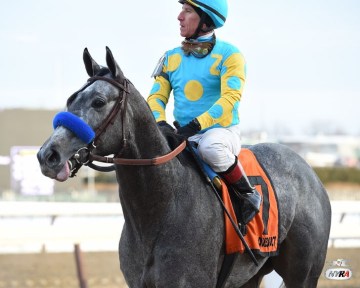 El Kabeir (USA) Foto Cortesía de NYRA