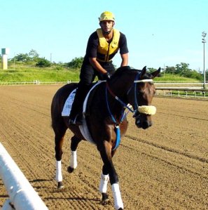 El triplecoronado Estrellero (PUR)