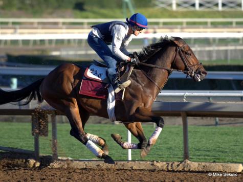 Firing Line (USA) Foto Cortesia de Mike Sekulic