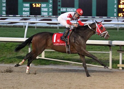 International Star (USA) Foto Cortesia de Hodges Photography