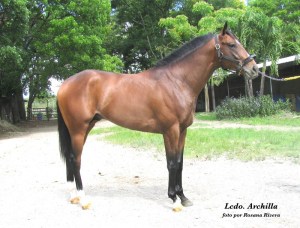 Lcdo Archilla (PUR) Foto Cortesía de Rosana Rivera