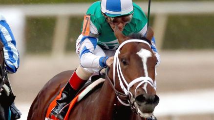 El invicto en tres salidas Materiality (USA) Foto Cortesía de Matthew Stockman