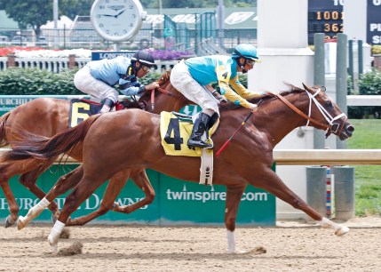 Mr. Z (USA) Foto Cortesia de Reed Palmer, Churchill Downs