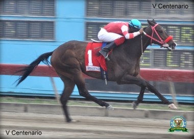 Tempestad (DOM) con el jinete José Ventura. Foto Cortesía de Hipodromo V Centenario