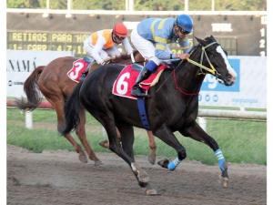 La campeona dosañera 2014 Vicki (PAN) busca mantener su invicto. Foto Cortesía de David Beitia