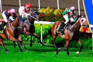 Aerovelocity (NZ) lleva dos victorias en eventos relacionados al Global Sprint Challenge. Foto Cortesía de Singapore Turf Club