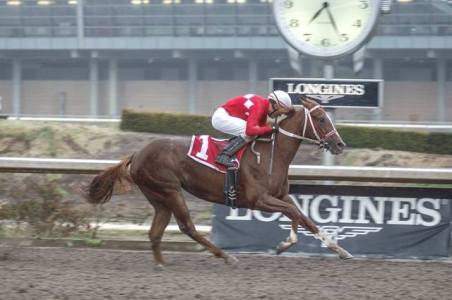 Heakabu (MEX) se llevó el Clásico Rubí Foto Cortesía de Hipodromo De Las Américas