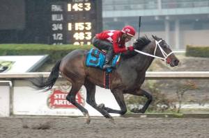 Huitlacoche (MEX) ganando el Stakes Jockey Club Mexicano Foto Cortesía de : Hipodromo De Las Américas