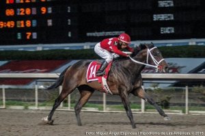 Huitlacoche (MEX) ganó el Gran Premio Nacional Foto Cortesía de Hipódromo de Las Américas