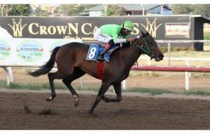 Monkey Business (PAN) ganó el Clásico Temistocles Díaz Foto Cortesía de David Beitía