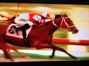 Registro (PUR) es un hijo de Harbor Master criado por Maria Teresa Baragaño