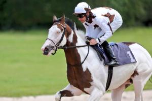 Silvery Moon (FR), un purasangre "frame overo" rara veces visto.