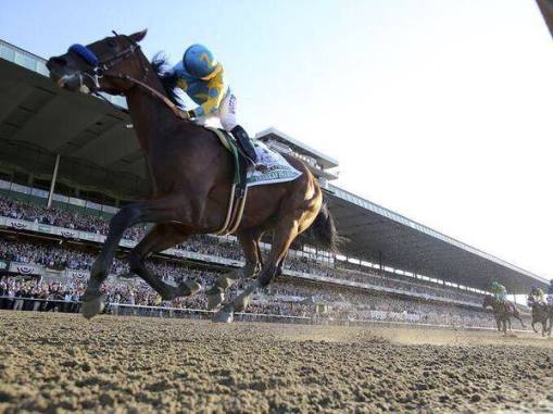 American Pharoah (USA) triplecoronándose en el Belmont Stakes.