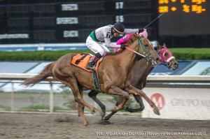 Bellota ganando el Clasico Esmeralda Foto Cortesía de Miguel Angel Espinoza