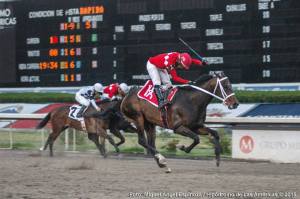 Huitlacoche (MEX) es el séptimo triplecoronado en México Foto Cortesía de Miguel Angel Espinoza