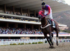 Quick Mani (VEN) ganando el José Antonio Paez. Foto Cortesia de Hector Castillo