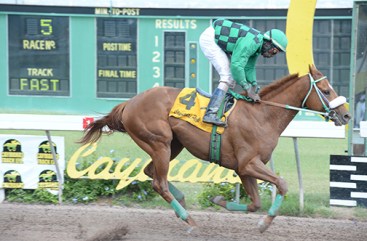 Seeking My Dream (JAM) es un hijo de la triplecoronada Alsafra (JAM) Foto Cortesía de Jamaica Observer