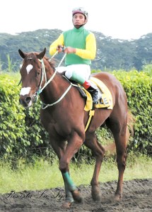 Canelazo (ECU) es un hijo de Big Ten en Min Canela Foto Cortesía de Revista La Fija