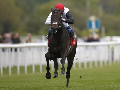 Golden Horn (GB) marcha invicto. Foto cortesia de ukhorseracingtipster