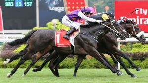 Final del Singapore Derby Ganado por Quechua (ARG) Foto Cortesía de Singapore Turf Club