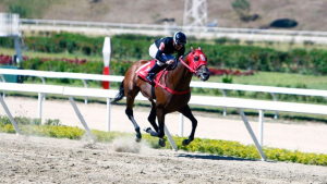Jorge Zeta (VEN) es medio hermano de Tato Zeta (VEN) Foto Cortesía de Legal Hípico