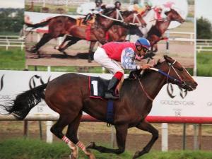 Nite Train (PAN) es uno de los inscritos en la primera gema de la triple corona Foto Cortesía de Hannischke | EFE
