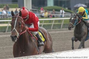 Eclaire (MEX) aguanta el avance de Diamante Negro (MEX). Foto Cortesía de Miguel Angel Espinoza.