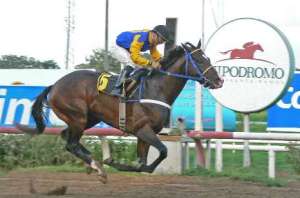 El Quiche (PAN), aquí como tresañero cuenta actualmente con nueve años. Foto Cortesía David Beitía