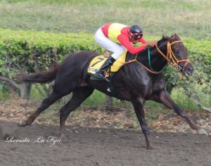 Fliquitriqui (ECU) Foto Cortesía de Revista La Fija