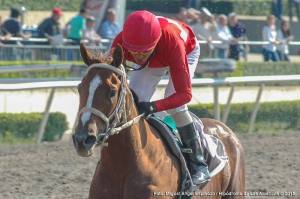 Heakabu (MEX) ganó la primera Carrera clasificatoria al Dama del Caribe. Foto Cortesía de Miguel Angel Espinoza