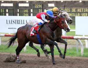 Nite Train (PAN) resiste el ataque de Calínico (PAN) Foto Cortesía de David Beitía