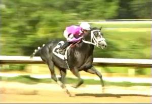 Saint Jordi (PUR) podría viajar a Panamá si sus intereses pagan la nominación con penalidad de la Copa Velocidad.