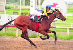 Wise Mil (PAN) Foto Cortesía de David Beitía