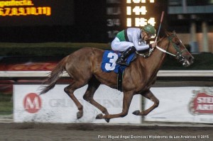 La tresañera Bellota (MEX) participará en la Copa Dama del Caribe. Foto Cortesía de Miguel Angel Espinoza
