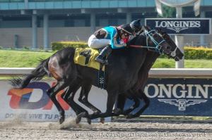 Eclaire (MEX) por dentro y Diamante Negro (MEX) por fuera. Foto Cortesía de Miguel Angel Espinoza.