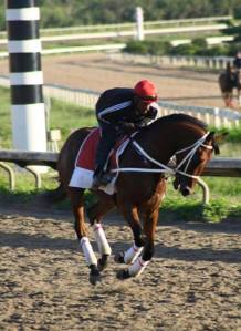 Registro (PUR) sera uno de los representantes de Puerto Rico en el Clásico del Caribe. Foto Cortesía de 