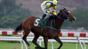 Supremo (VEN) sería uno de los dos representantes de Venezuela en el Clásico del Caribe. Foto Cortesía de entornointeligente.com